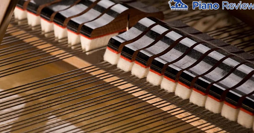 How Many Strings Does a Piano Have? A Quick Guide to Piano Anatomy